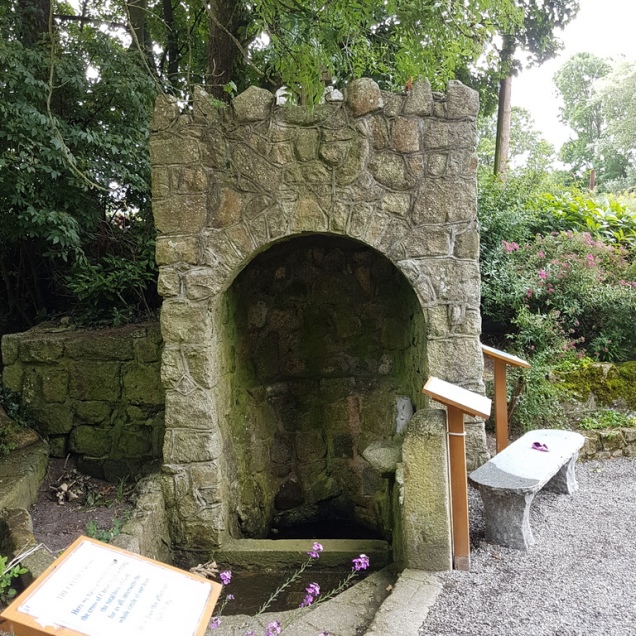 St Mogue's Well Clonmore